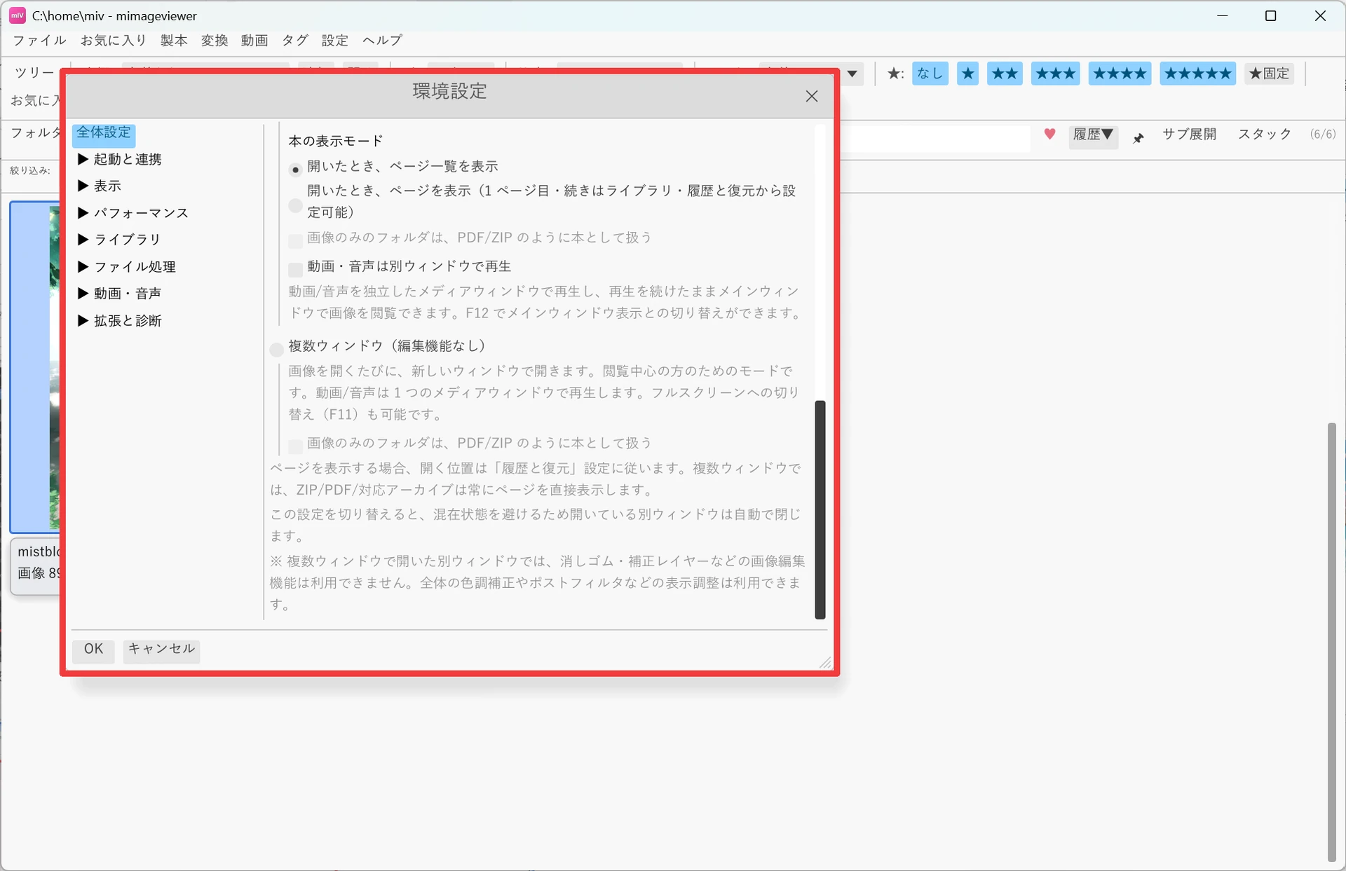 環境設定ダイアログの「全体設定」ページ。本の表示モードの下に「動画・音声は別ウィンドウで再生」のチェック、その下に「複数ウィンドウ（編集機能なし）」の選択肢が並び、それぞれに動作の説明が付いている